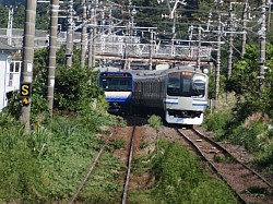 E217系