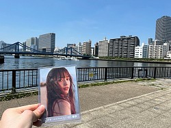 ナインボーダー