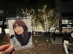 イルミネーション×川口春奈