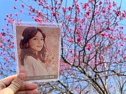 川口春奈×桜🌸